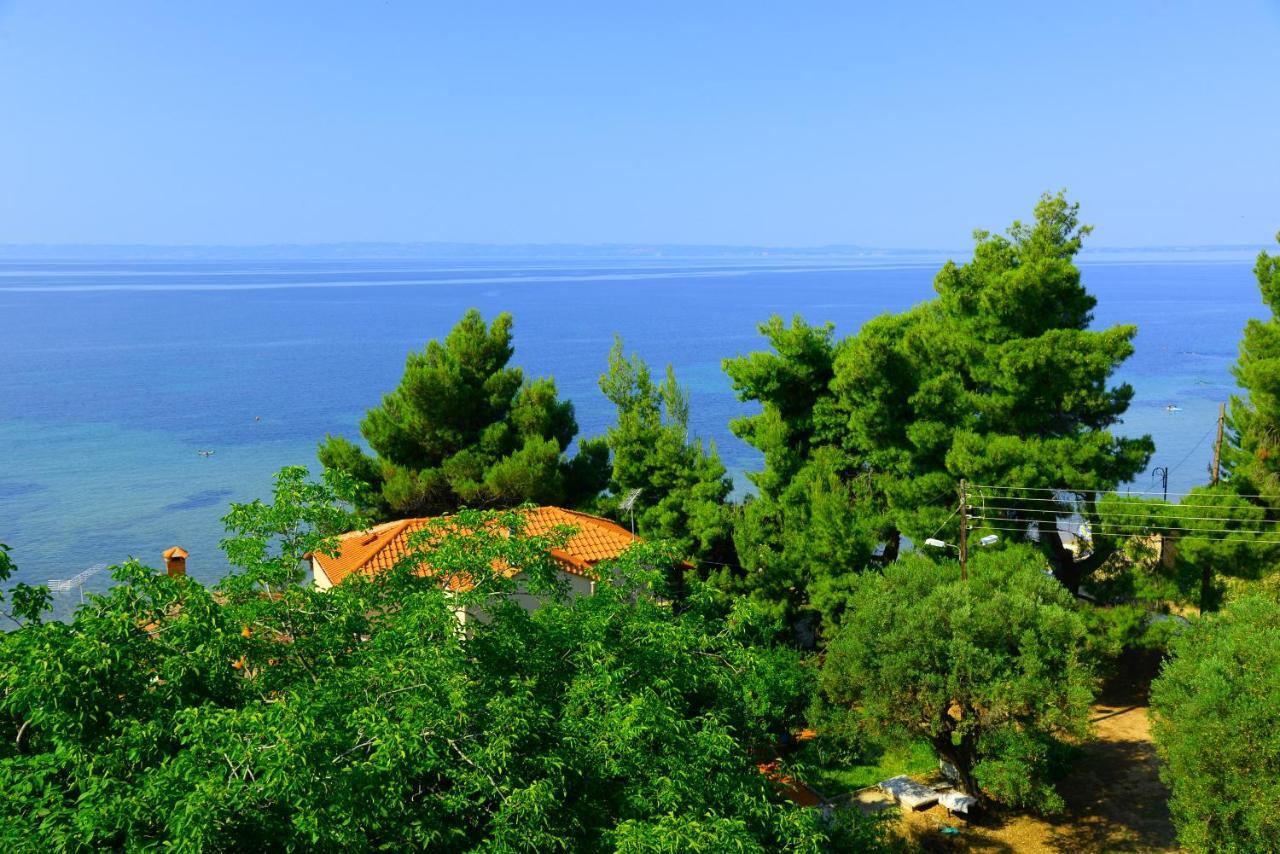 Golden Beach Hotel 美塔摩尔弗斯 外观 照片